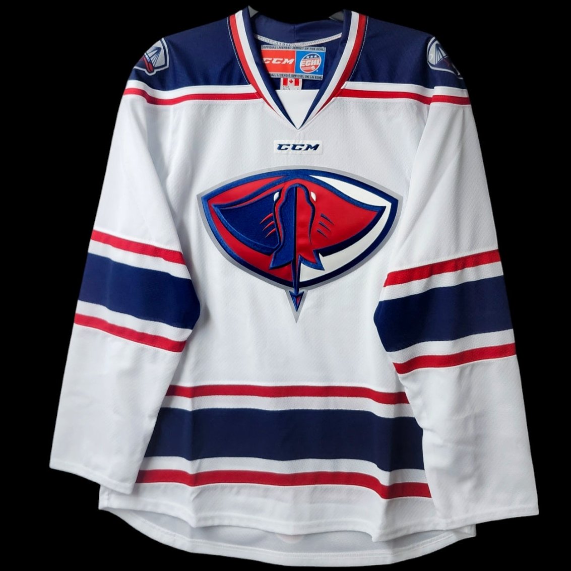 Jersey Adult South Carolina Stingrays