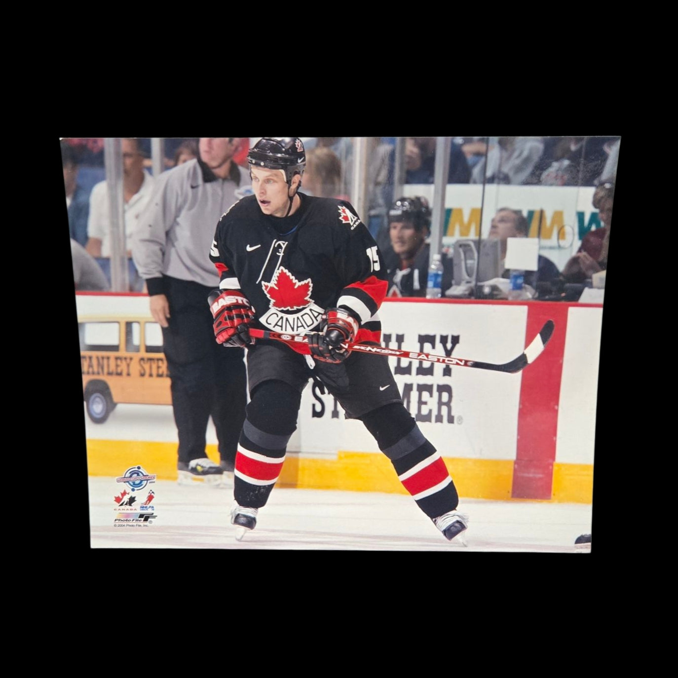 Photo - Dany Heatley #15 Team Canada