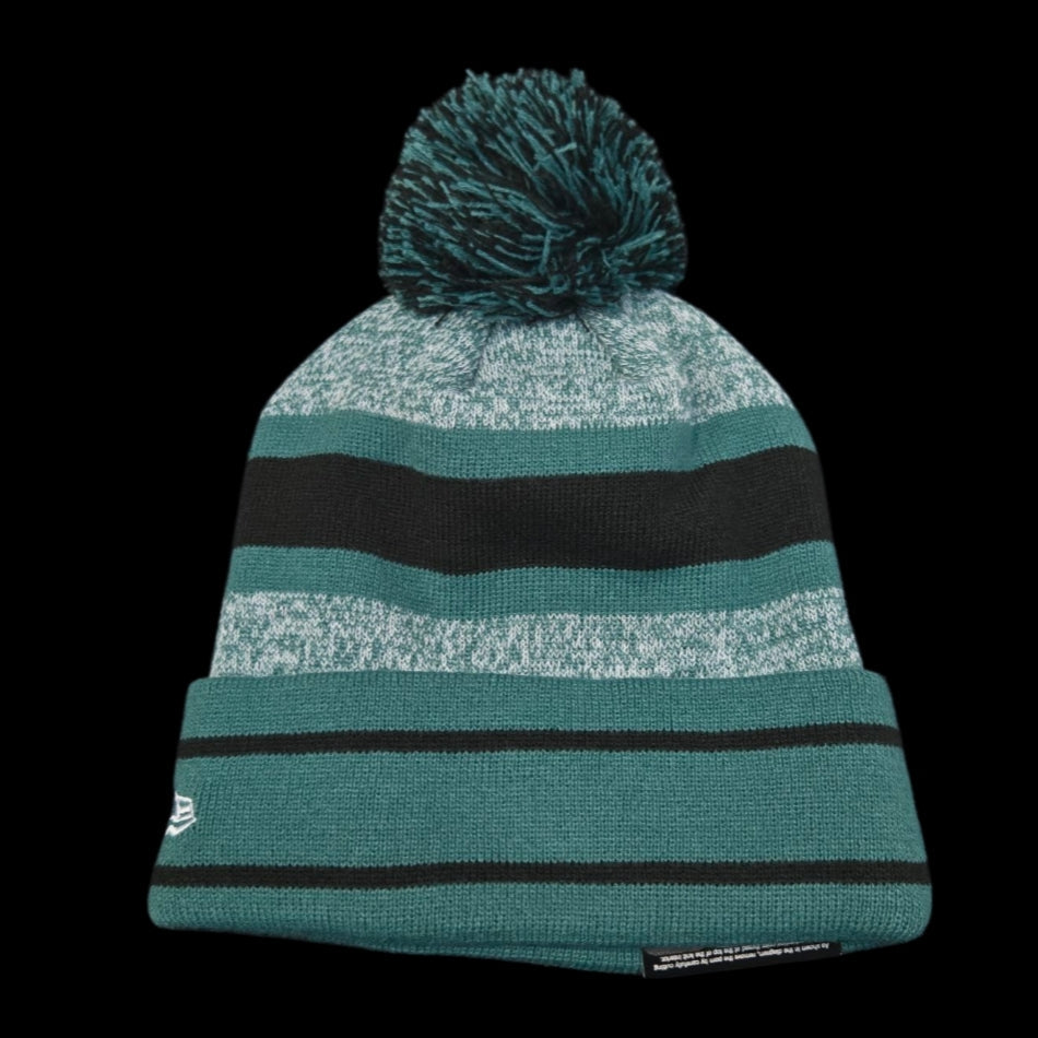 Adult Toque - Philadelphia Eagles
