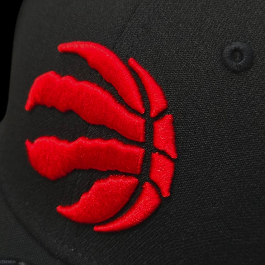 Adult Cap - Toronto Raptors