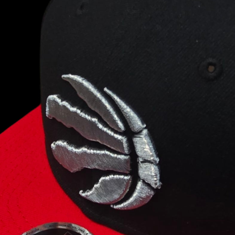 Adult Cap - Toronto Raptors