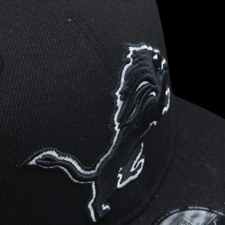 Adult Cap - Detroit Lions