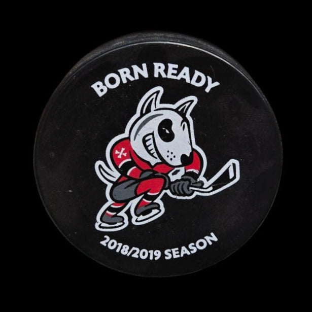 Rondelle - Ice Dogs de Niagara