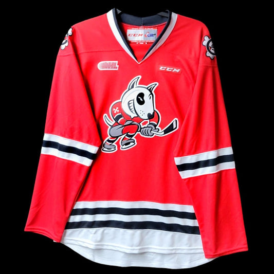 Jersey Adulte Ice Dogs Niagara