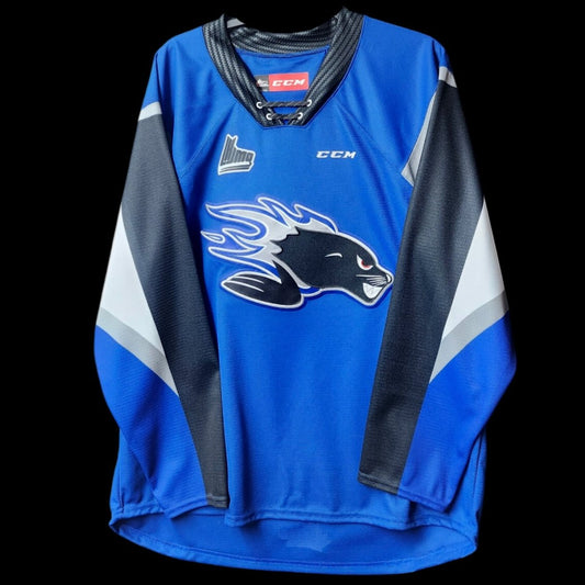 Jersey Adulte Sea Dogs de Saint-John