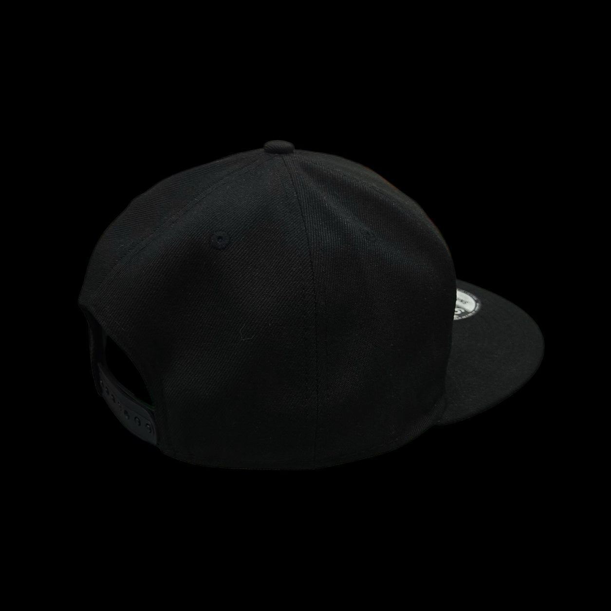 Casquette Adulte - Panthers de la Caroline