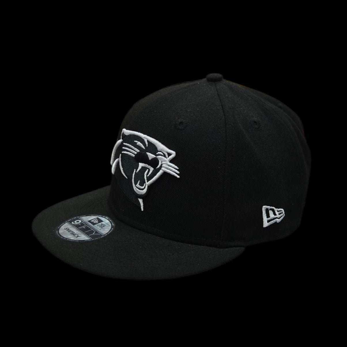 Casquette Adulte - Panthers de la Caroline