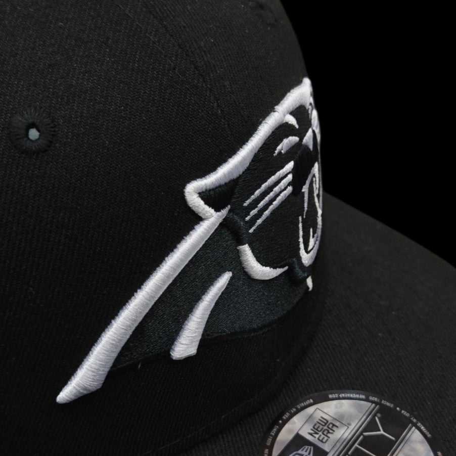 Casquette Adulte - Panthers de la Caroline