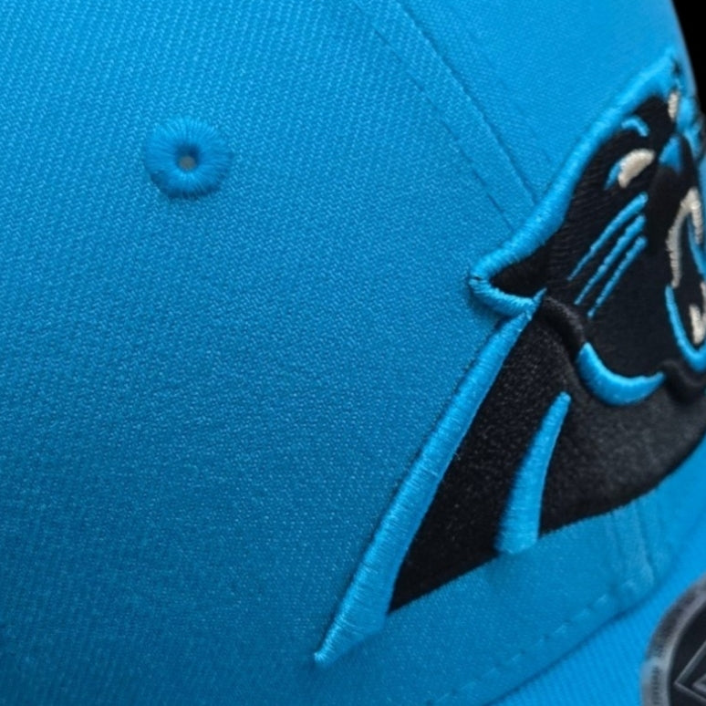 Adult Cap - Carolina Panthers