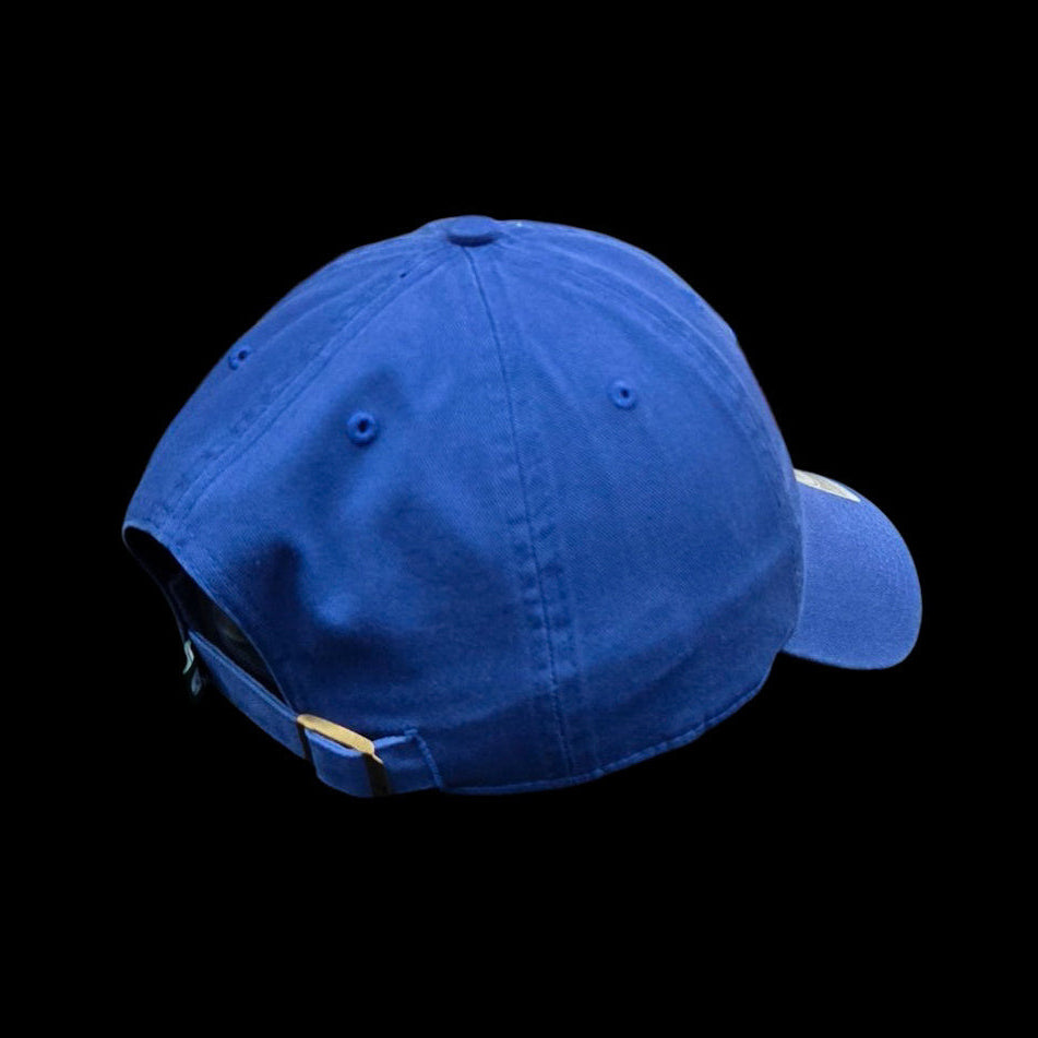 Adult Cap - Hartford Whalers