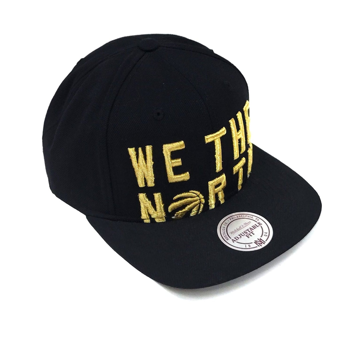 Toronto Raptors Adult Cap