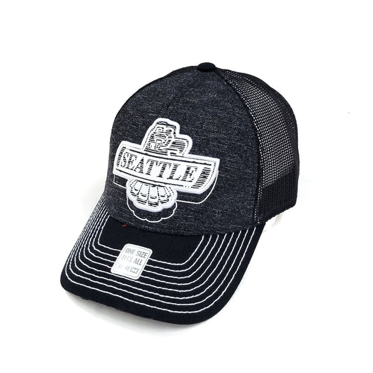 Casquette Adulte Thunderbirds de Seattle