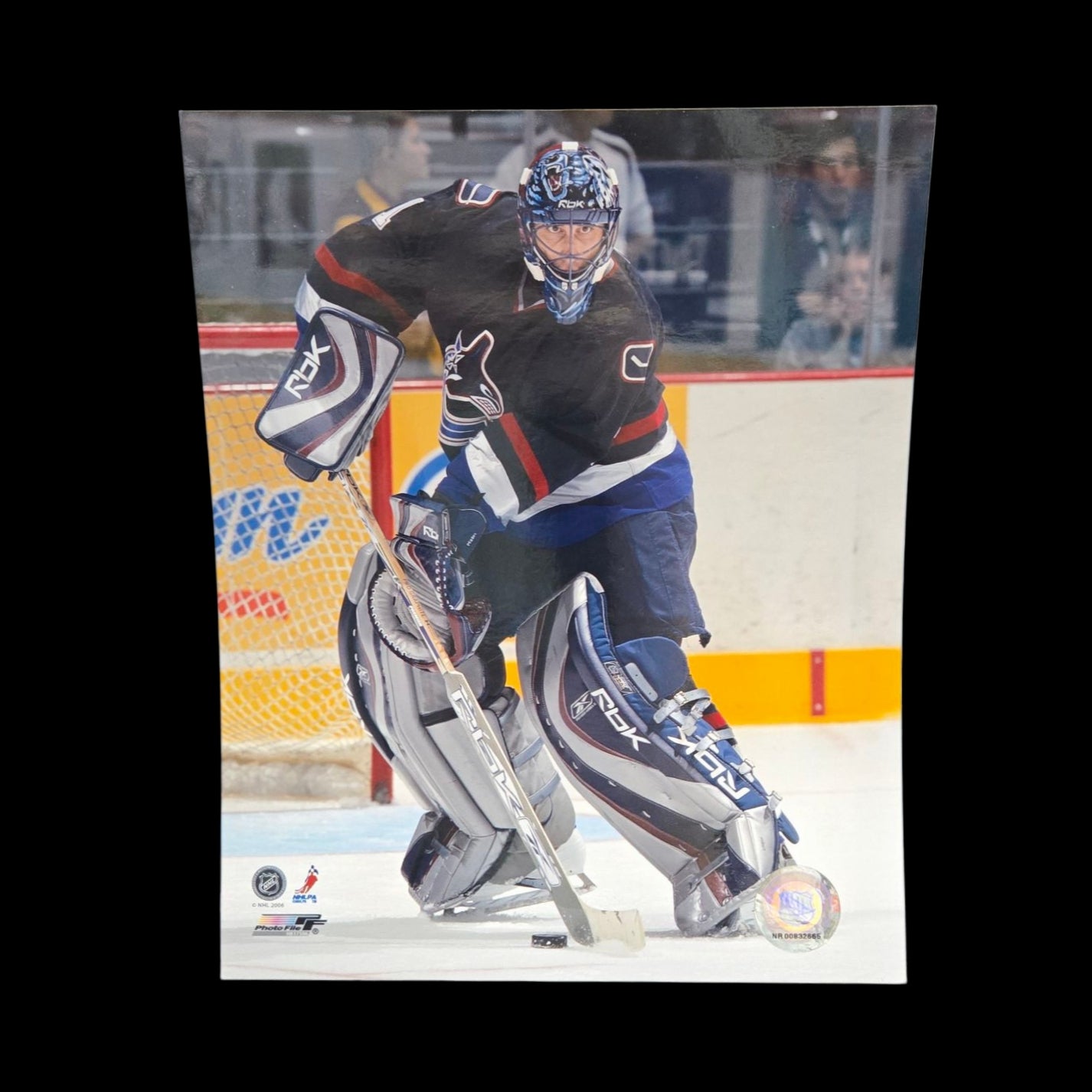 Photo - Roberto Luongo #1 Vancouver Canucks