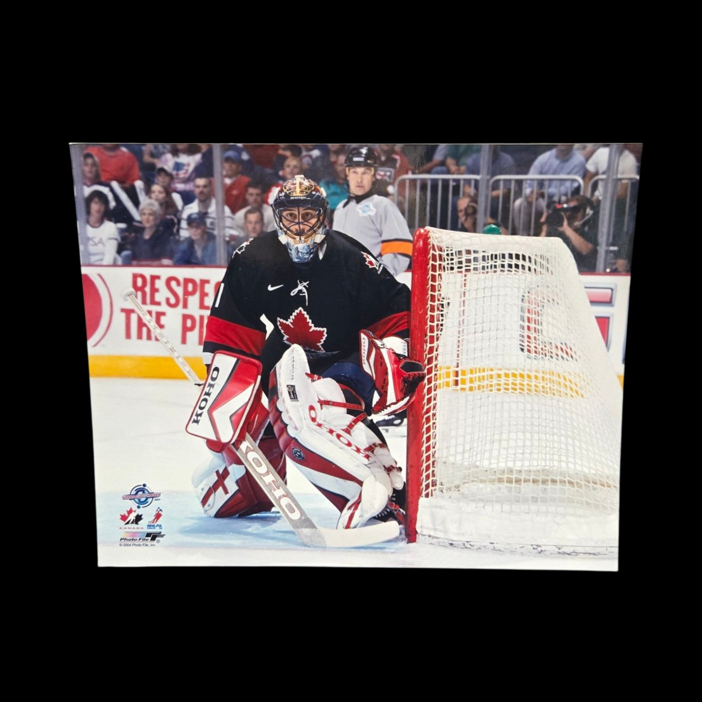 Photo - Roberto Luongo #1 Team Canada