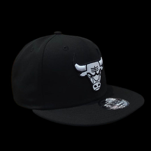 Casquette Adulte - Bulls de Chicago