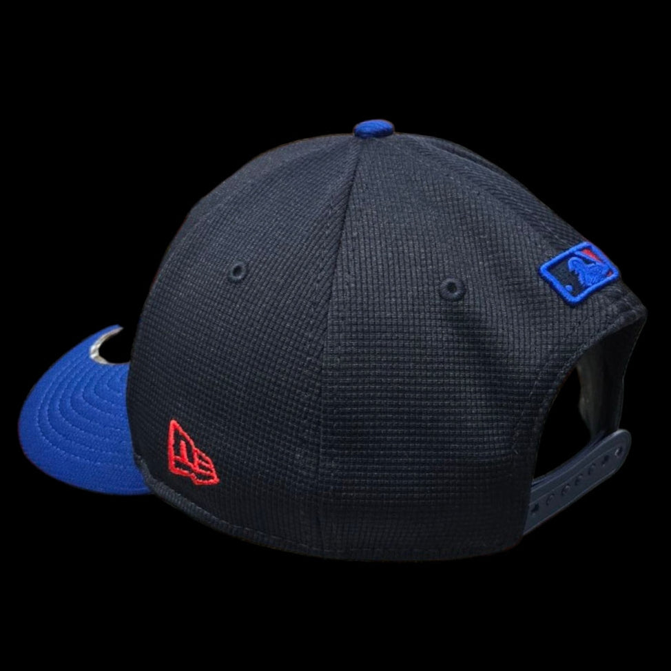 Adult Cap - Toronto Blue Jays