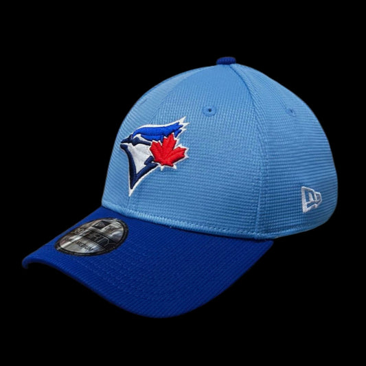 Adult Cap - Toronto Blues Jays
