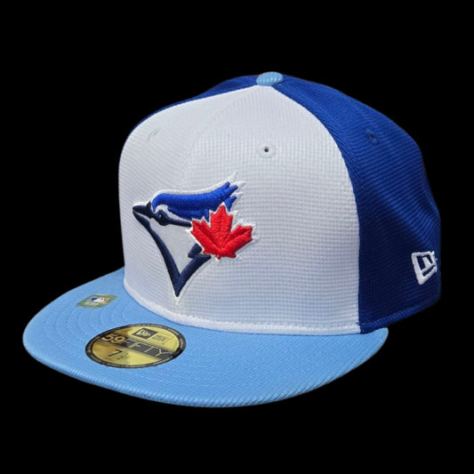 Adult Cap - Toronto Blue Jays