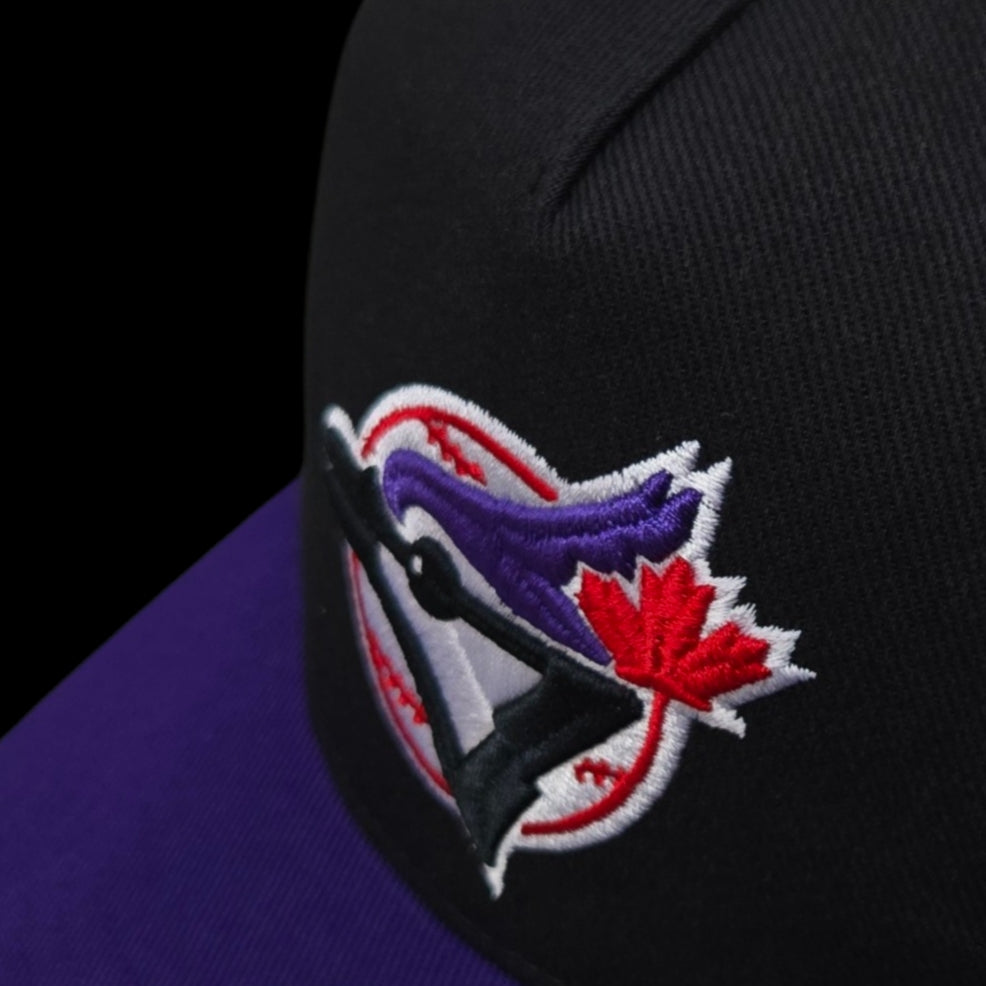 Adult Cap - Toronto Blue Jays 