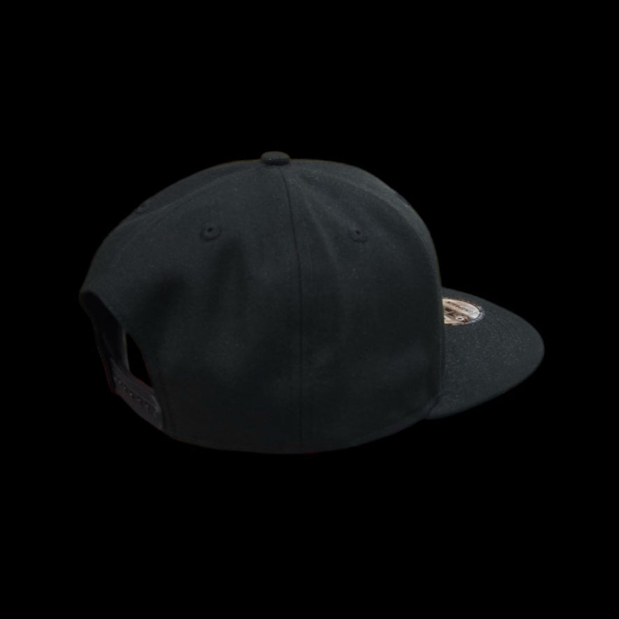 Adult Cap - Detroit Lions